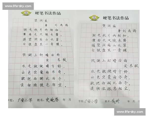 小学书法比赛活动方案及组织策划方案探讨与实施细则